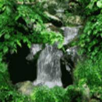 Rock Water